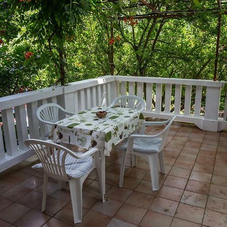 Apartment Nada Medveja 洛夫兰 外观 照片